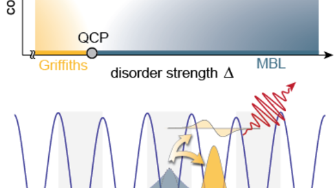 MBL in an Open Quantum System