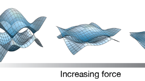 Bloch state tomography using Wilson lines