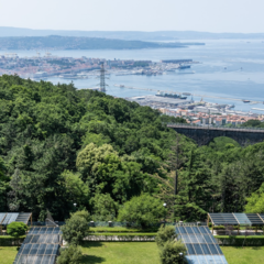 View from SISSA over Trieste