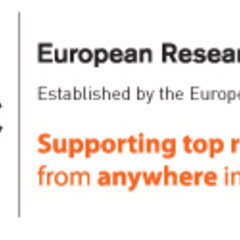 ERC project Quasicrystal started