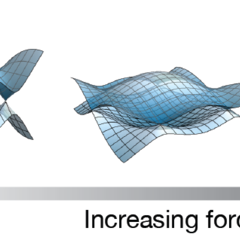 Bloch state tomography using Wilson lines