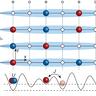 Dimensional crossover of MBL published in PRL