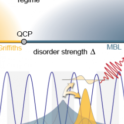 MBL in an Open Quantum System
