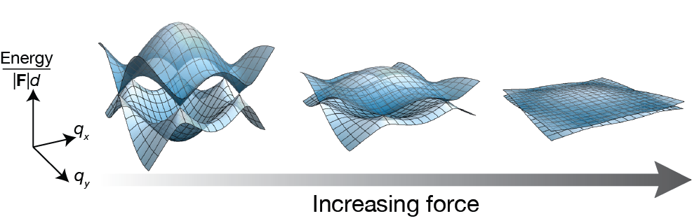 During a sufficiently strong acceleration (right), the energies of the bands become unimportant and the bands appear degenerate, such that the dynamics is governed purely by band geometry. (F: Force, d: distance between lattice sites) Bloch state tomography using Wilson lines